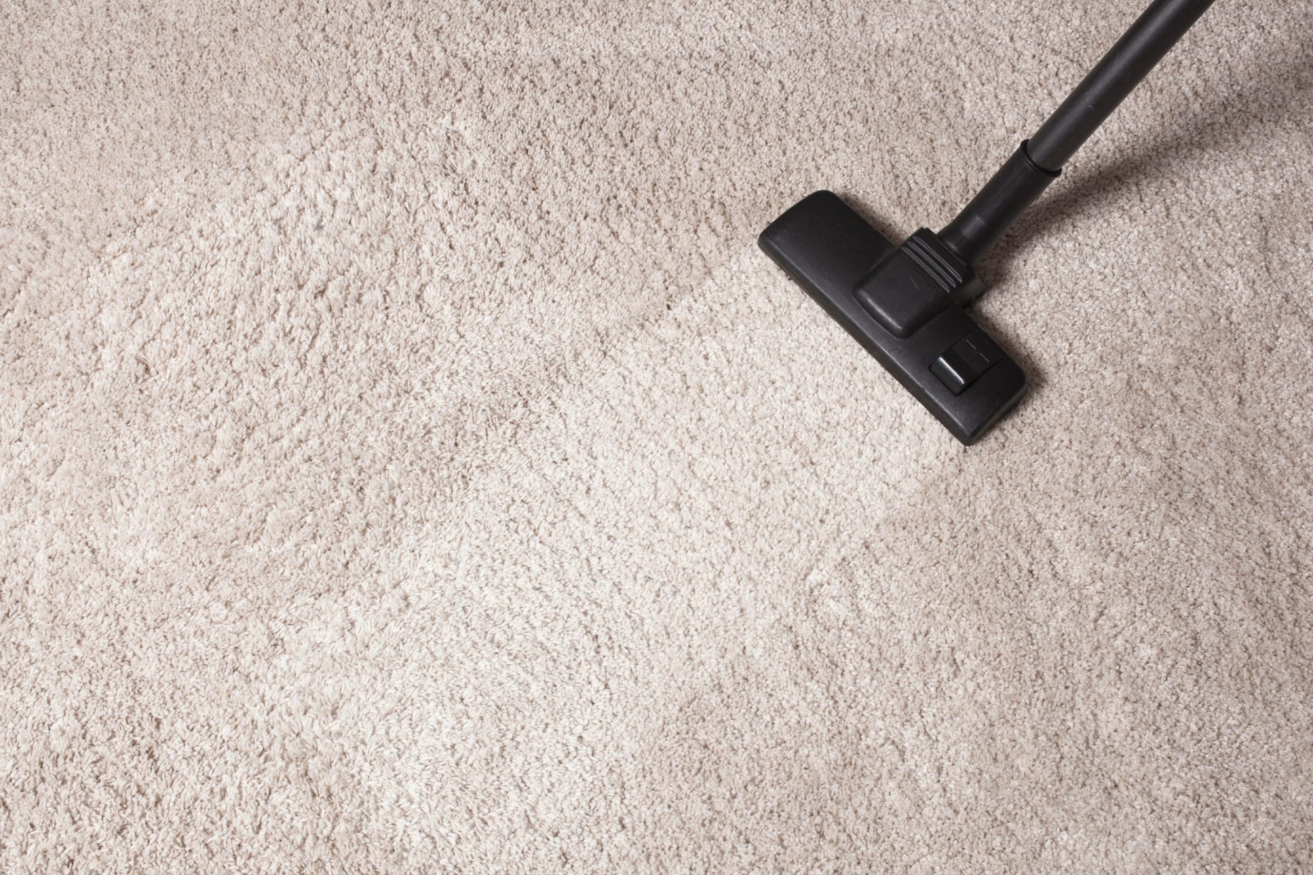 Professional Carpet Cleaning Walkerville